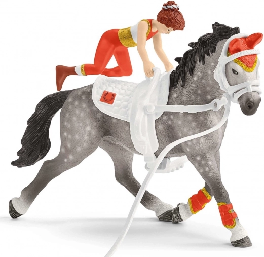 Toernooipaard met afneembare uitrusting