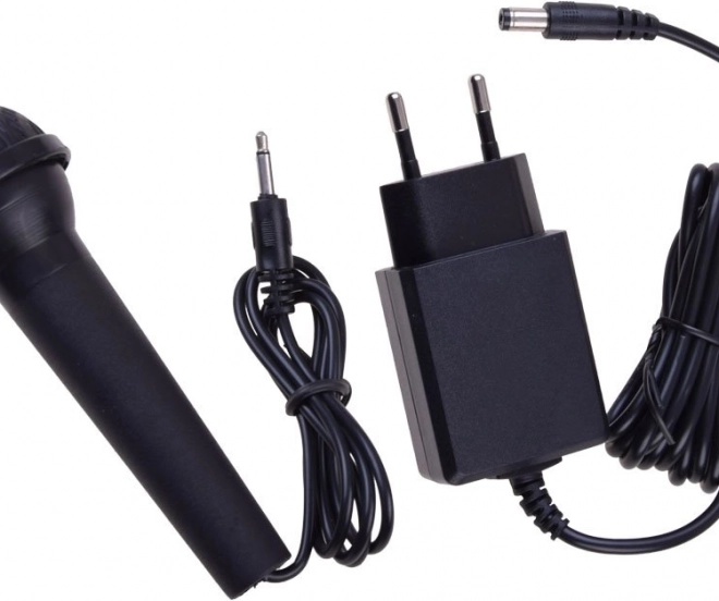 Karaokeplezier met microfoon en opname