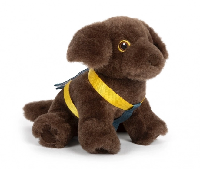 Small foot Pluchen Hond met Verzorgingsset