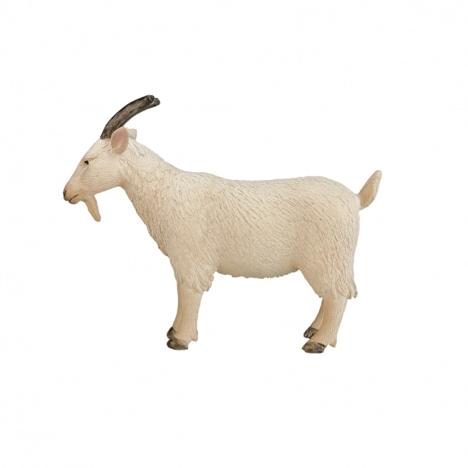 Mojo Bok