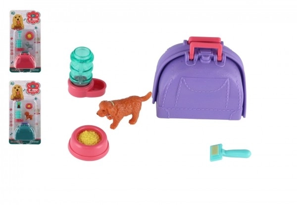 Mazlíček hond met draagbare doos en accessoires