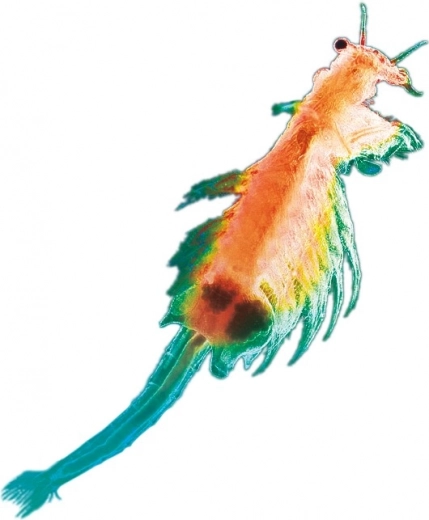 Levende wetenschap gewoon thuis