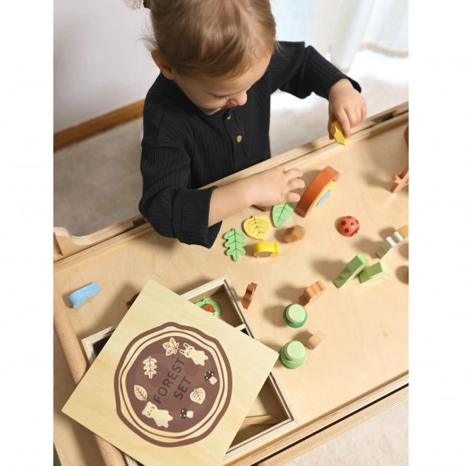 Bosset met houten blokken Tooky Toy
