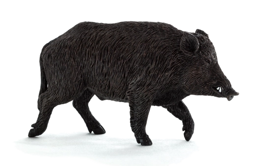 Animal Planet figuur van een everzwijn – realistisch model voor kinderen en verzamelaars