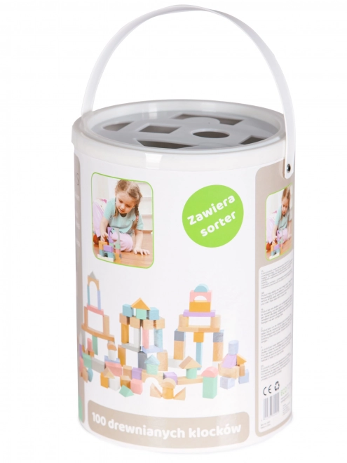 Houten blokken 100 st met emmer inclusief sorteerder Ecotoys