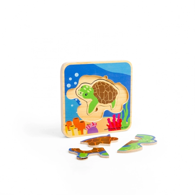 Bigjigs Toys Puzzel Levenscyclus van de Schildpad