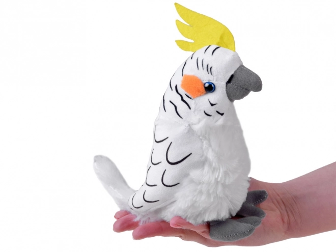 Pluche papegaai Kakatoe wit 17 cm