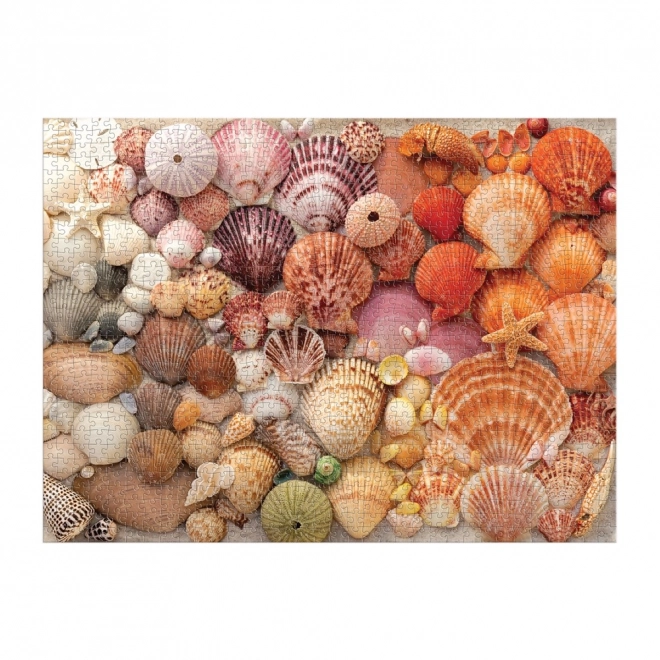 Puzzel Stralende schelpen 1000 stukjes