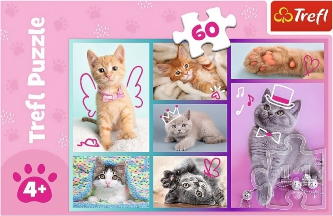 Puzzel 60 stukjes Lieve katjes