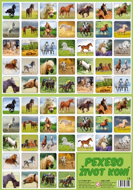 Pexeso paardenleven