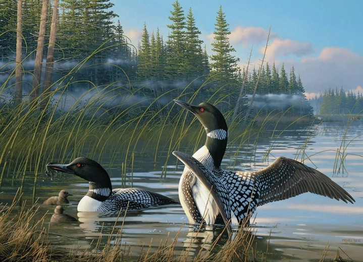 Uniek motief van ijsduikers in de natuur