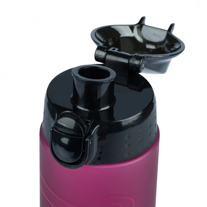 BAAGL Tritan flessen voor drinken Ruby, 700 ml