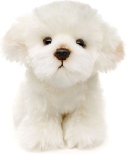 Eco‑vriendelijk en veilig ontwerp