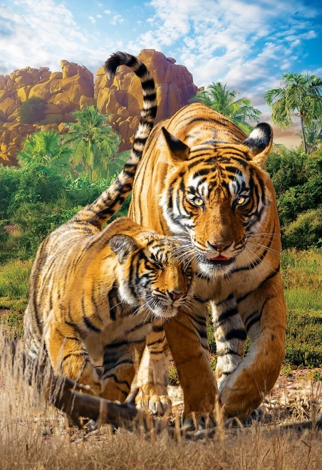 Puzzel Eurographics Save Our Planet – tijgers XL 250 stukjes