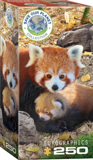 Puzzel Red Pandas XL: Red Pandas XL 250 stuks