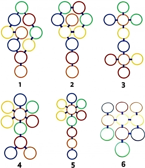 Woopie Set springringen 10 stuks