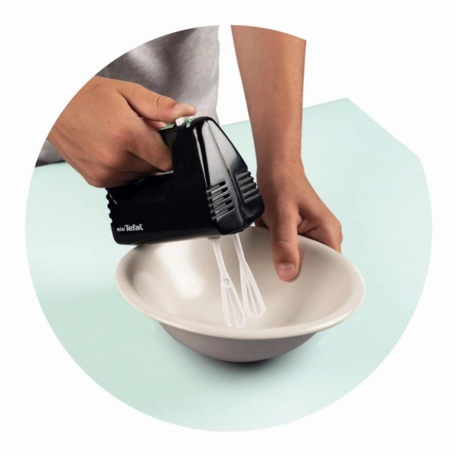 Mixer Mini Tefal Express