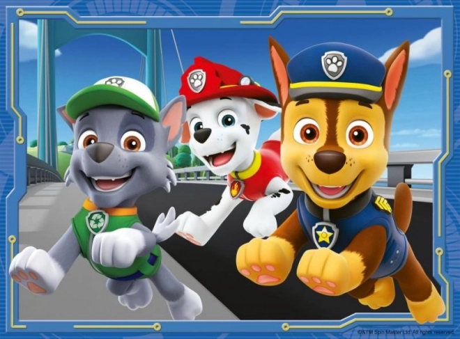 Paw Patrol 4 in 1