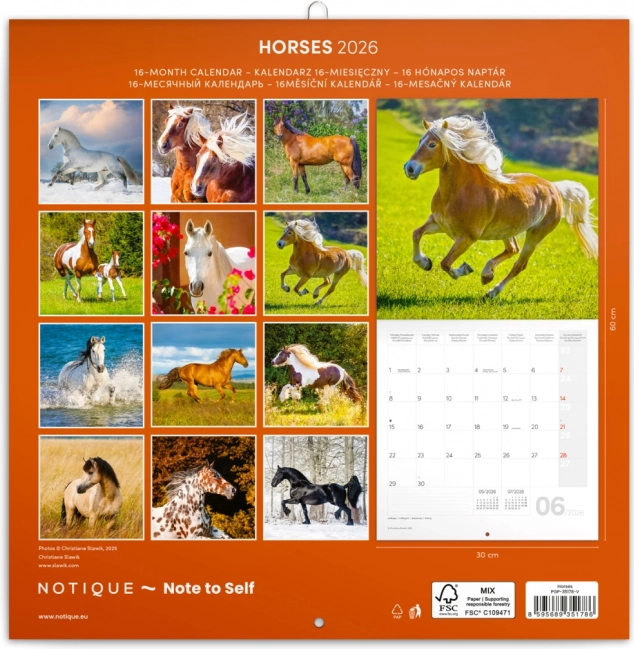 Notitiekalender Paarden Christiane Slawik 2026