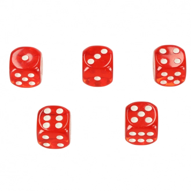 Pokerset in koffertje 500 fiches 2 kaartspellen