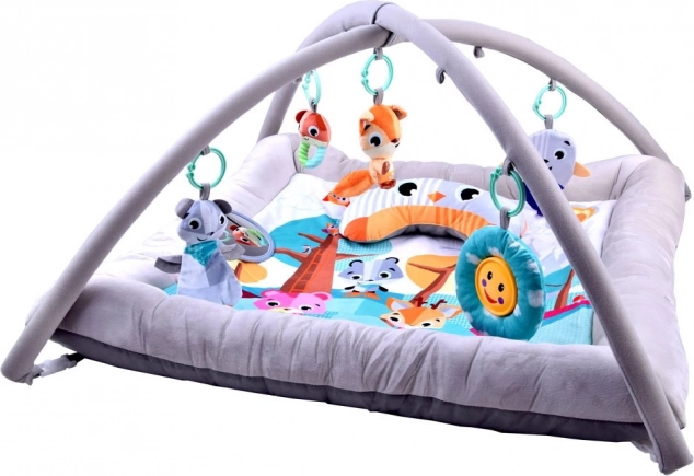 Schattige zachte baby-speelmat met babygym en hangspeeltjes