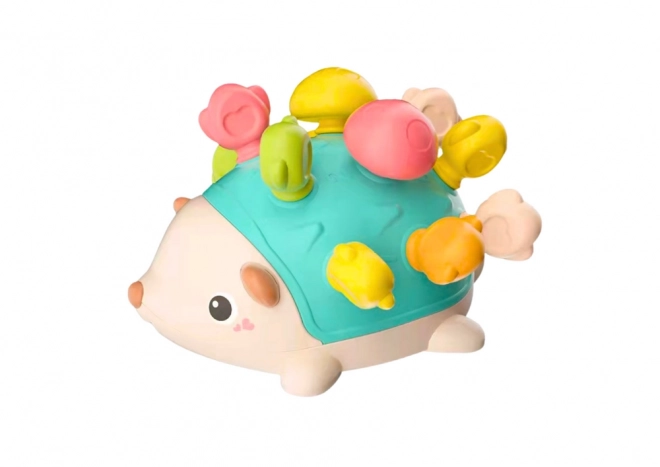Sensorische egel voor baby's met gekleurde staafjes