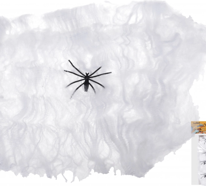 Carnavalsset Spinnewiel met Spin