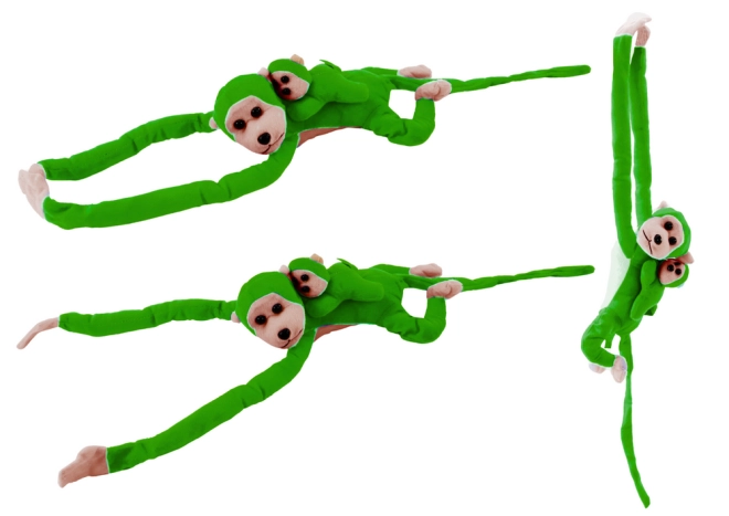 Functionele constructie