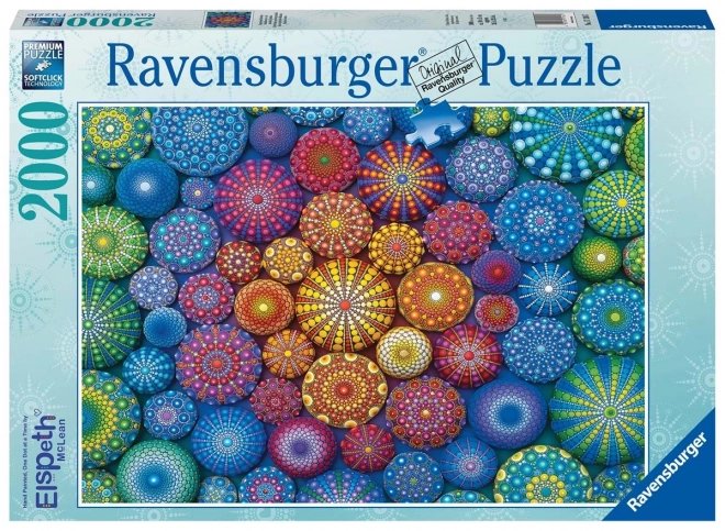 Puzzel 2D 2000 stukjes Regenboog mandala's