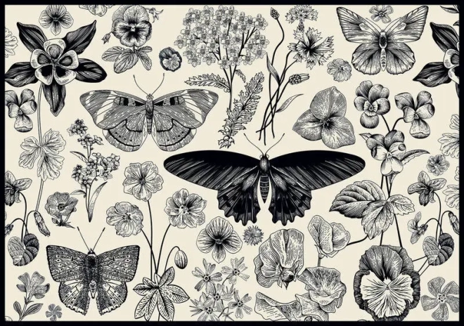Puzzle INTERDRUK Vlinders en Bloemen 500 Stukjes