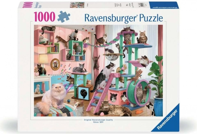 Puzzel Kattenhemel 1000 stukjes