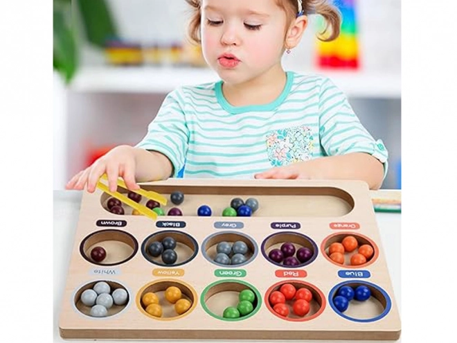 Montessori educatieve houten mozaïek - gekleurde balletjes en sorteerder