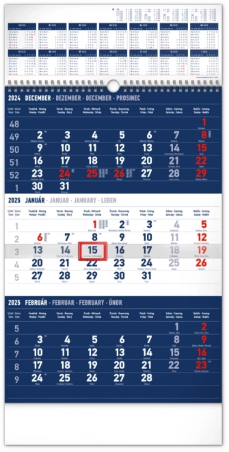 NOTIQUE Muurkalender 3-maandelijks standaard blauw – met jaaroverzicht 2025, 29,5 x 43 cm