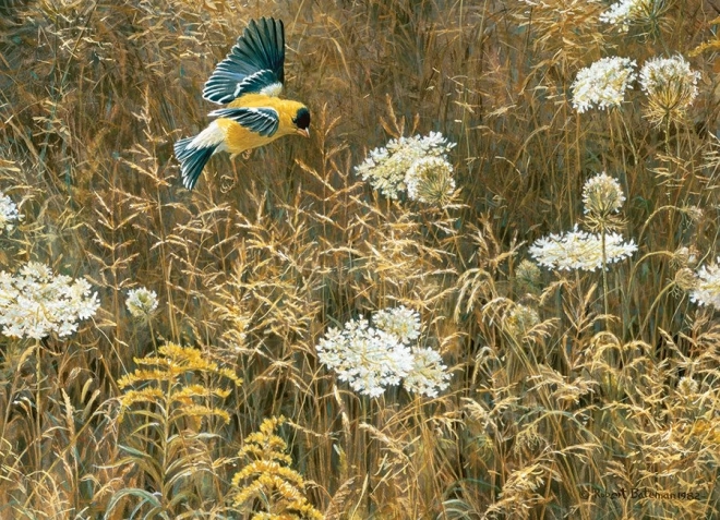 Realistische kunst van Robert Bateman