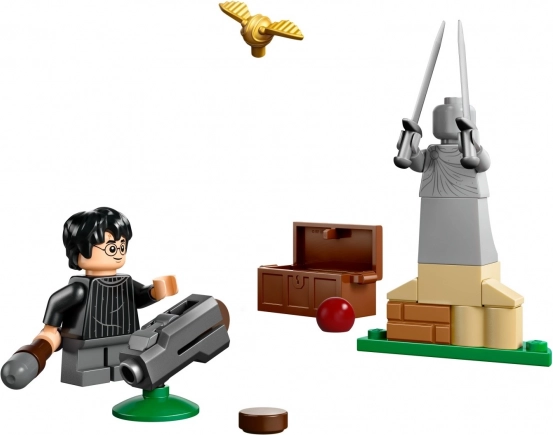 LEGO Harry Potter Zwerkbal Les