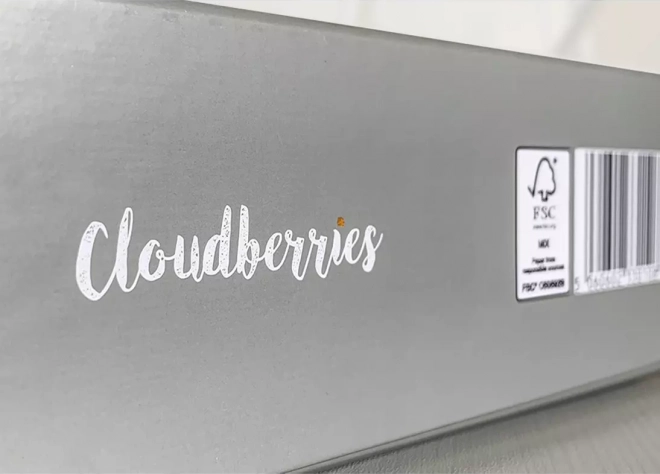 Cloudberries Puzzle Hideaway - 500 stukjes