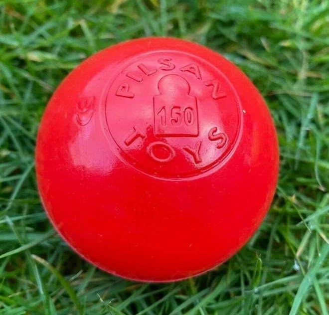 Pilsan Kleurrijke Ballen voor Zwembad 100 stuks - 7 cm 06411