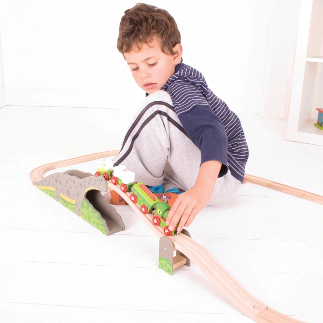 Bigjigs Rail Dinosauriëbrug