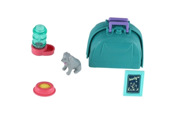 Mazlíček hond met draagbare doos en accessoires