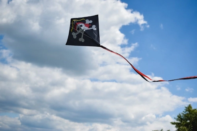 Stabiele vlucht, zelfs bij wisselende wind