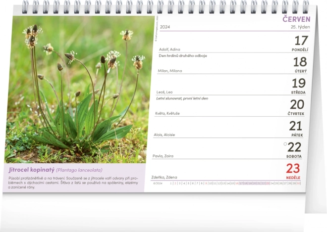 Bureaukalender Natuurlijke Apotheek 2024, 23,1 × 14,5 cm
