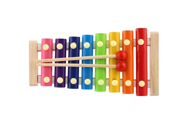 Xylofoon hout/metaal 24cm met stokken in doos 25x13x4cm