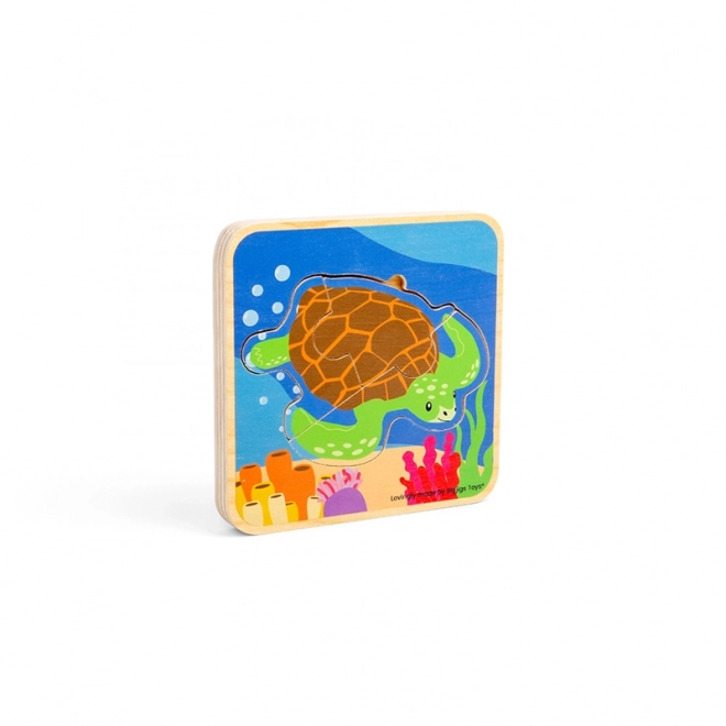 Bigjigs Toys Puzzel Levenscyclus van de Schildpad
