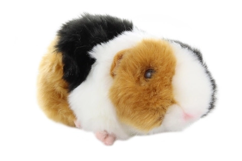 Pluche Cavia 21 cm - ECO - VRIENDELIJK