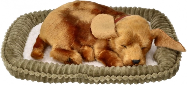 Adopteerbare ademende pluchen puppy