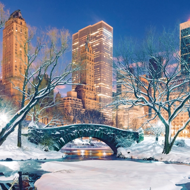 Notitiekalender New York 2026