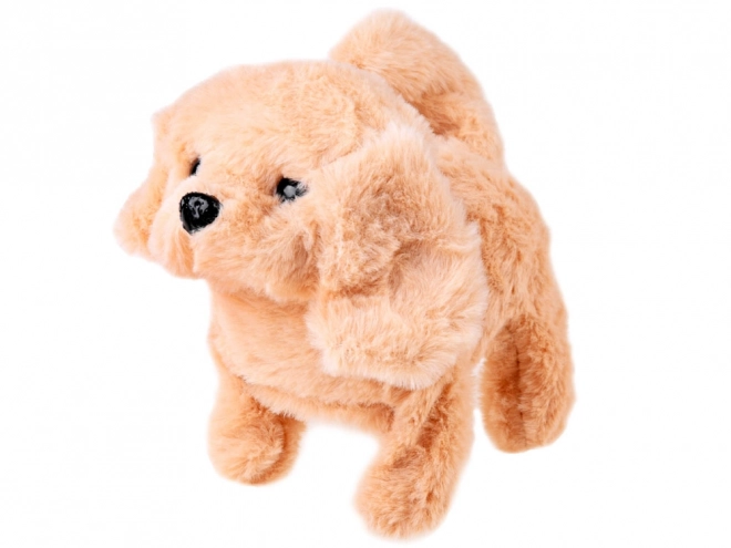 Interactieve pluchen hond in SPA-salon
