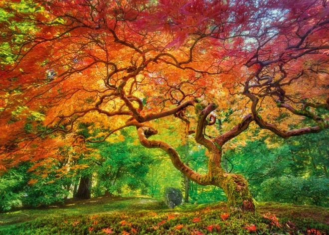 Cherry Pazzi puzzel Boomkruin 1000 stukjes