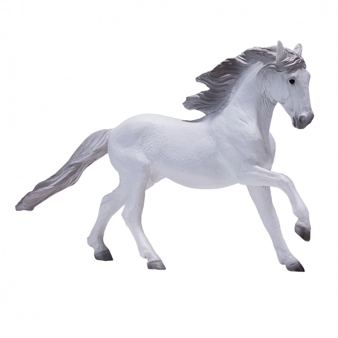 Mojo Lusitaanse Witte Paard