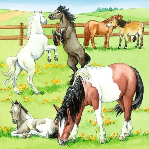 Prachtige weide vol paarden